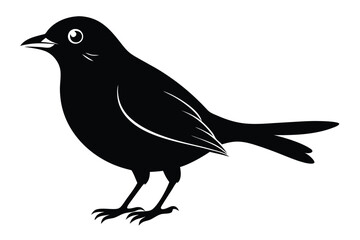 Obraz premium blackbird silhouette line art vector illustration with a white background