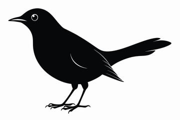 Obraz premium blackbird silhouette line art vector illustration with a white background