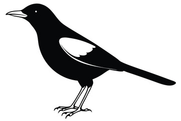 Obraz premium blackbird silhouette line art vector illustration with a white background