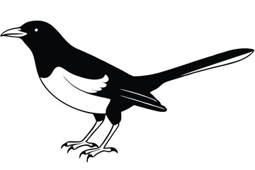 Obraz premium blackbird silhouette line art vector illustration with a white background