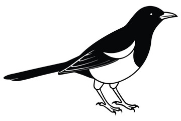 Obraz premium blackbird silhouette line art vector illustration with a white background