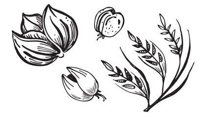 Fototapeta premium Very beautiful monochrome botanical collection of flowers and leaves rendered in precise black-and-white linework, providing versatile decorative elements suitable for elegant invitations, wallpaper 