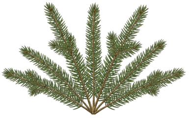 Circular Christmas Wreath Frame with Reindeer Gifts and Snowflakes Graphic Transparent Background