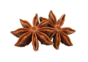 two dry, mahogany star anise pods, precisely crossed and highly detailed, captured in a macro studio shot against a transparent background with crisp shadows. concept of precision and spice marketing