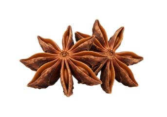 two dry, mahogany star anise pods, precisely crossed and highly detailed, captured in a macro studio shot against a transparent background with crisp shadows. concept of precision and spice marketing