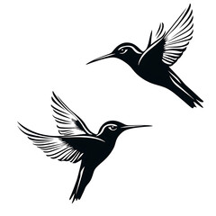 Obraz premium Hummingbirds in Flight Silhouette