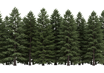 imposing, hyper-detailed row of mature spruce and hemlock evergreen trees with rich green foliage and textured trunks, isolated on a seamless high-key white background. concept of pristine ecology