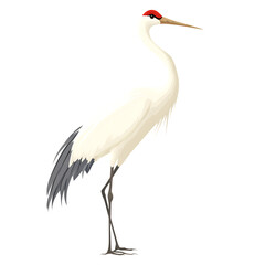 Obraz premium Graceful Crane Illustration on Transparent Background