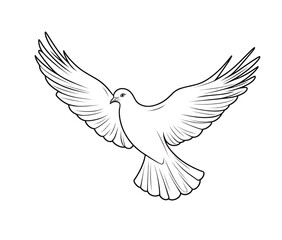 Fototapeta premium Graceful Dove in Flight