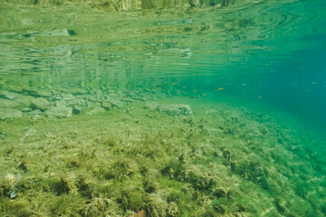 Underwater view of clear green water, rocky bottom and algae at the submerged Rummu quarry lake in Estonia.