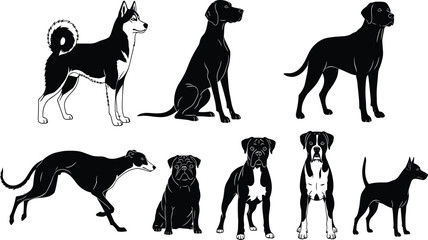 Black Silhouettes of Seven Different Dog Breeds: Husky, Pointer, Labrador, Greyhound, Pug, Boxer, and Doberman Pinscher, Flat Vector Illustration Graphics. © MDMOHOBBAT
