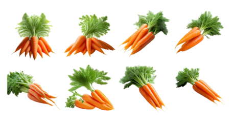 Fresh Organic Carrots with Green Tops on White Background Display, Bundle Set Collection, Isolated on Transparent Background