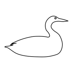 Loon icon vector set. Duck Illustration sign collection. bird symbol. fowl logo.