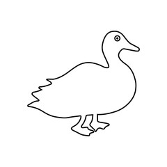 Loon icon vector set. Duck Illustration sign collection. bird symbol. fowl logo.