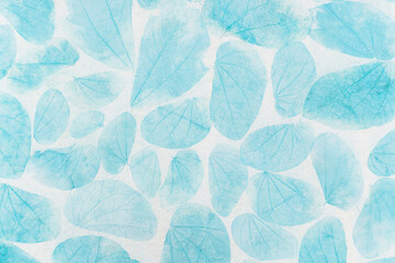 Blue leaves pattern on paper background, closeup natural leaves texture background