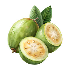 Exotic feijoa fruit watercolor, whole and cut, with fresh green leaves.