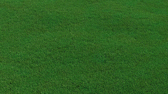 Green grass texture background. A perfectly manicured Sports field / Pitch / Garden Lawn wallpaper.  