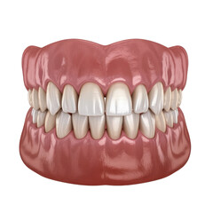 Realistic 3 D render of human upper and lower jaw with healthy white teeth isolated on a transparent background