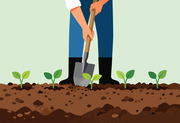 A person with a shovel plants seedlings in a row, with green foliage. Dark soil and light background