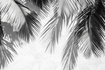 Obraz premium Palm leaves cast shadows on textured wall in black and white