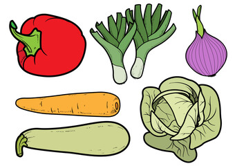 Cabbage, sweet pepper, zucchini, carrots, shallots, onions color illustration with outline on white background