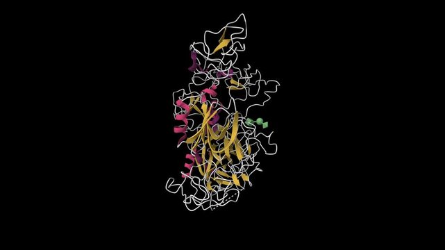 Crystal structure of the native plasminogen. Animated 3D cartoon model, secondary structure color scheme, pdb 4a5t, black background