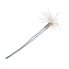 Obraz premium A delicate, artistic representation of a dandelion seed head, showcasing its intricate details and lightness against a plain background.