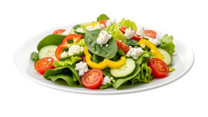Fresh Salad with Vegetables and Feta Cheese on White Plate, isolated on white or transparent background. PNG