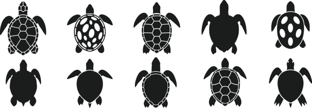 Black and white turtle silhouettes patterned in tribal design