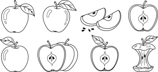 Vintage apple illustrations set isolated on white background
