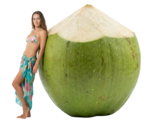 Tropical Beauty with Giant Coconut: Exotic Vacation Vibes