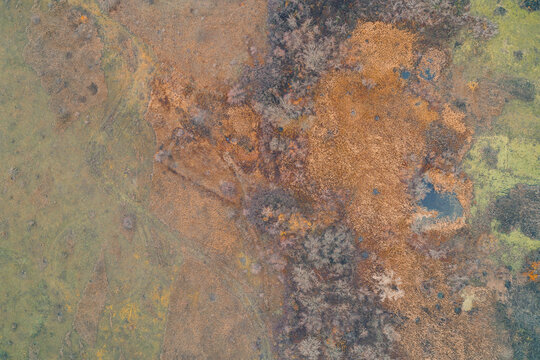 Vibrant orange wetland texture with dry reeds and dark water pools. Abstract autumn nature pattern in a conflict zone area - Shot from a drone