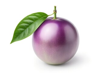 Purple Plum with Leaf Accent