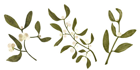 Hand drawn digital mistletoe branches with green leaves and soft white berries on png background. Elegant botanical design perfect for textiles, packaging, stationery, winter decor