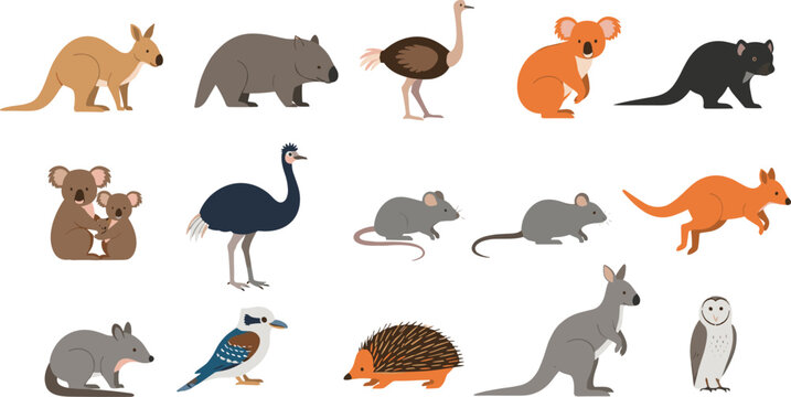 Cute colorful vector illustration set of Australian wildlife animals including kangaroos, koalas, wombats, emu, echidna, possum, owl, and Tasmanian devil
