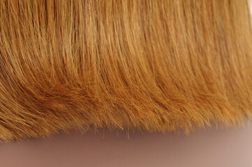 Fototapeta premium straight golden blonde human hair lace weaves wigs