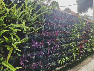 A vibrant vertical garden showcasing various plants in individual pockets, creating a lush green wall outdoors.