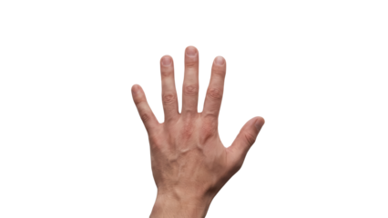 Open human hand with five fingers spread isolated on white background