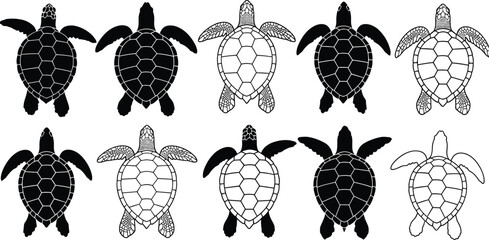 vTurtle silhouette illustration set, top-down view, shell and flipper designs, black and white vector artwork, white background