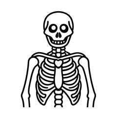 3D rendered illustration of a cartoon human skeleton with skull, spine, and other bones for use in medical, anatomy, or Halloween-themed content