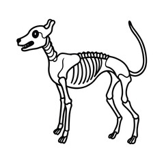 A cute vector illustration of a wild black and white zebra mammal standing isolated