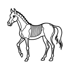 Black horse vector silhouette illustration of a running wild stallion with flowing mane and tail