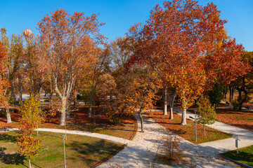 A city park and paths on a bright autumn morning, sunlight and shadows, yellow and golden autumn leaves on the trees, beautiful nature. © soleg