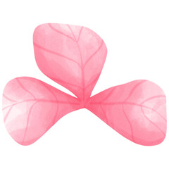 Watercolor clover leaf PNG file