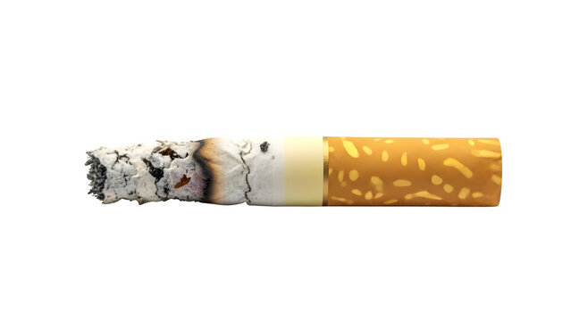 a cigarette butt, isolated on white or transparent background. PNG