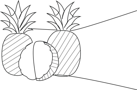 Pineapple continuous one line drawing and minimalist style isolate outline vector illustration
Pineapples are tropical fruits known for their sweet and tart taste. 
