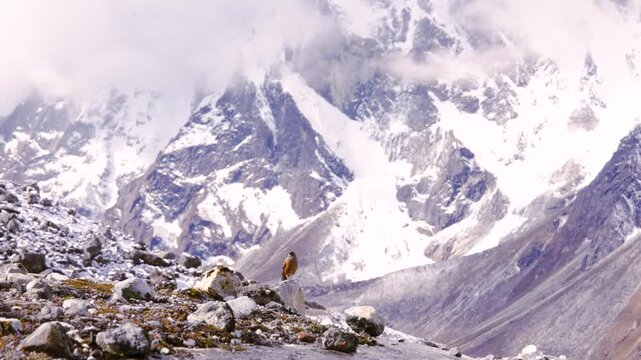 Cinematic Camera Footage of the Three Passes Trek &ndash; Mount Everest, Gokyo Ri, Mountain Life, and Glacier