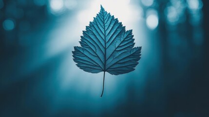 Blue Leaf shines with light, highlighting nature's beauty and botanical illustration.