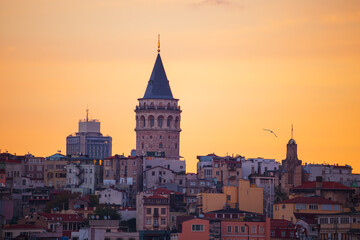Fototapeta premium The Galata Tower and seagulls at dawn. Magnificent cityscape of Istanbul in the morning.
