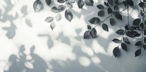 Leaves and Shadow, A Calming Scene With Natural beauty, Black And White Theme